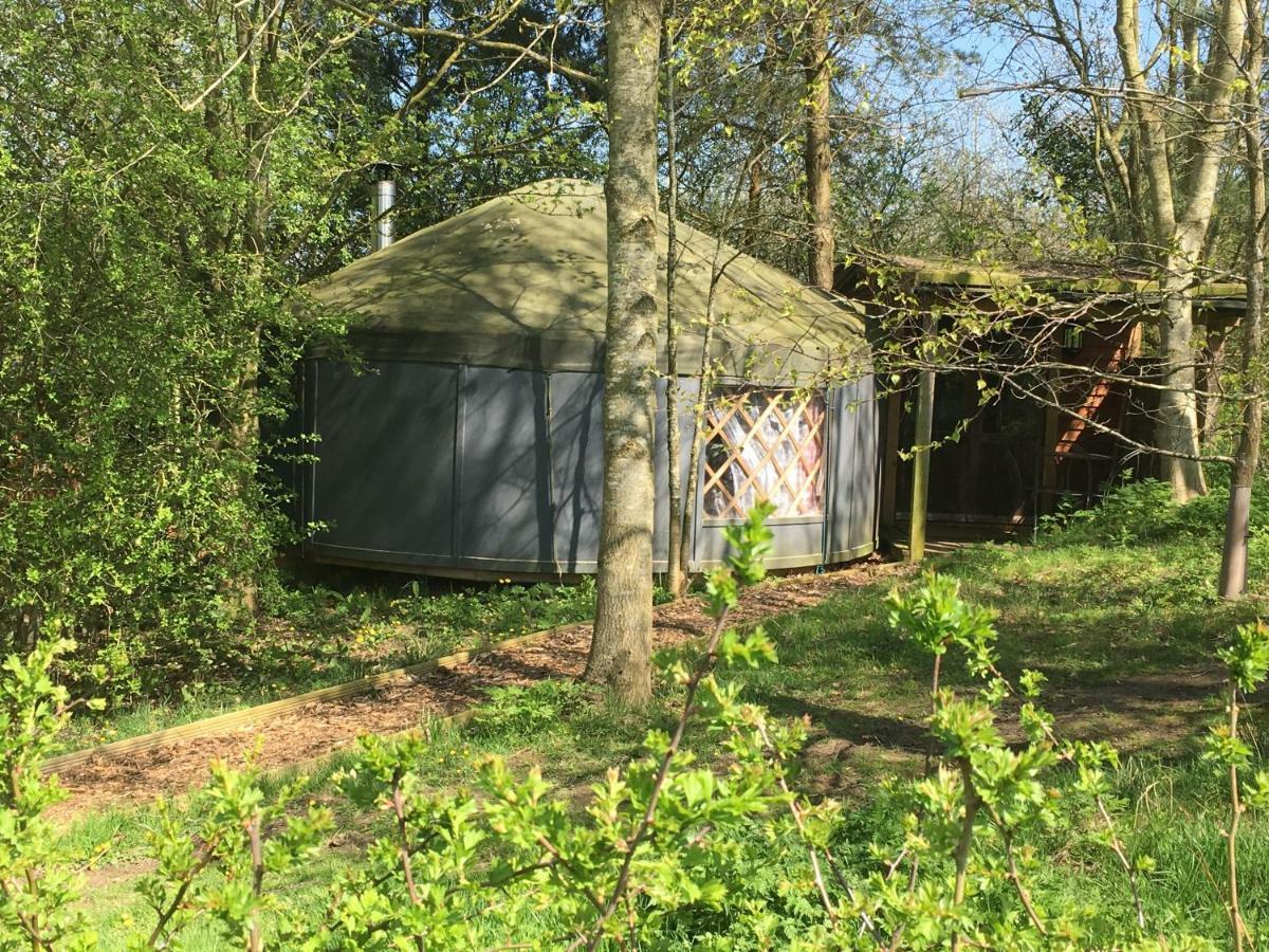 Cotswolds Camping At Holycombe Shipston-on-Stour Exterior foto